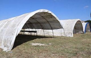 Kurban satış ve kesim alanları kuruluyor