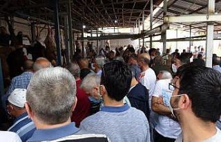 Kurban telaşı sosyal mesafeyi unutturdu