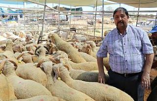 Kurbanda kesim yerlerinde randevu sistemiyle çalışılacak