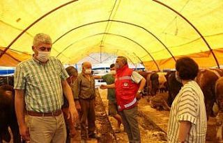 Kurbanlık hayvan alırken dikkat