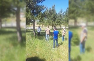 Kurtuluş Savaşı şehitlerinin mezarları tespit...