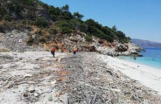 Kuşadası’ndaki milli parkın ziyarete kapalı...