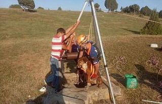Kuyuya düşen köpeği AFAD ekipleri kurtardı
