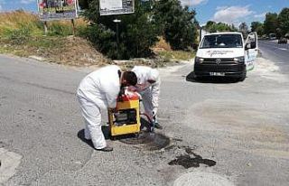 Larva mücadelesi dört aydır hız kesmeden devam...