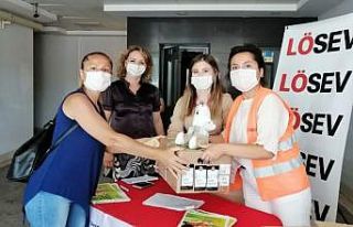 Lösev’den yıl boyunca et yardımı