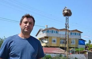 Mahallelinin ’leylek’ takvimi