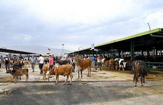 Malatya Büyükşehir’de Kurban Bayramı yoğunluğu