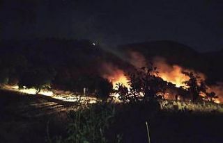 Malatya’da dağlık alanda çıkan örtü yangınına...