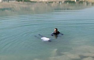 Malatya’da gölette bir ceset bulundu