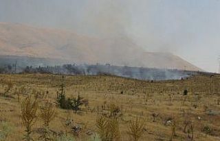 Malatya’da orman yangını