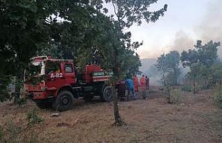 Manavgat’ın Yaylaalan mahallesinde başlayan orman...