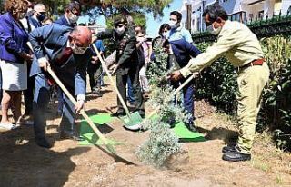 Manisa’da şehitlerin anısına 251 okula 251 fidan