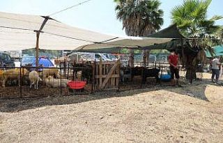 Marmaris’te Kurban Bayramı hazırlıkları tamamlandı