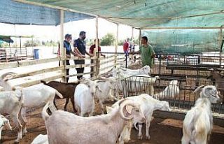 Menderes’te kurban satış yerleri hazır