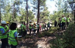 Mersin Orman Bölge Müdürlüğünden Mut’ta üretim...