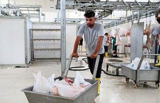 Mersin’de 24 mobil kesim ünitesi, 8 mezbaha hizmet...
