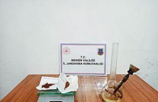 Mersin’de 438 kök kenevir bitkisi ele geçirildi
