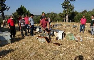 Mersin’de arı kovanlarına sinek ilaçlı saldırı
