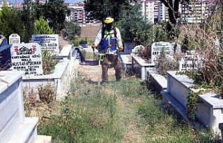 Mezarlıklarda bayram temizliği