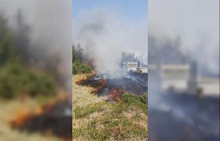 Mezarlıkta korkutan yangın