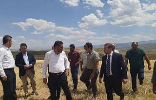 Milletvekili Çakır, Çayırlı’da ekinleri zarar...
