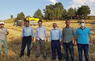 Milletvekili İshak Gazel, Aslanapa ilçesinde incelemelerde...