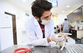 Motor kaputuna sıkışan yavru kedi uzun çabalar...