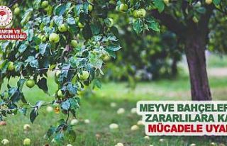Müdür Görentaş’tan meyve bahçelerindeki zararlılara...