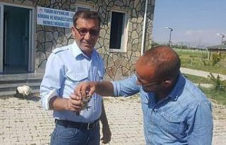 Muş’ta yaralı kuşlar tedavi altına alındı