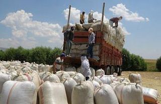 Muş’tan çevre illere saman sevkiyatı
