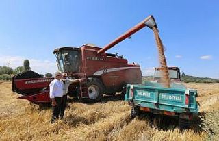 Nilüfer’de hasat zamanı