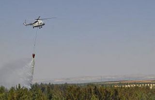 Nizip’teki orman yangını söndürüldü