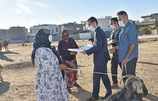 Nusaybin Kaymakamı Temizkan vatandaşlarla bayramlaştı