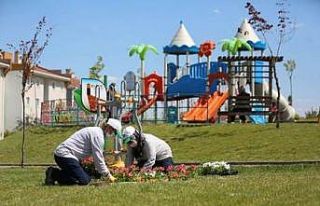 Odunpazarı kamu kaynaklarını koruyor