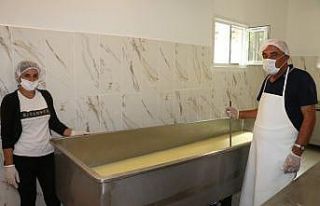 Ordu’da Süt Evi projesi büyüyor