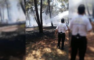 Örtü yangını ağaçlara sıçramadan söndürüldü