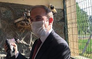 Otomobil fiyatına alıcı bulan Bayburt güvercininin...