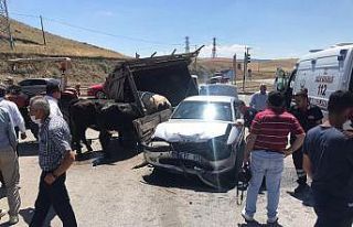 Otomobil hayvan taşıyan traktörle çarpıştı:...