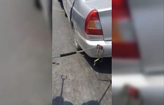 Otomobile giren yılan kazaya neden oldu