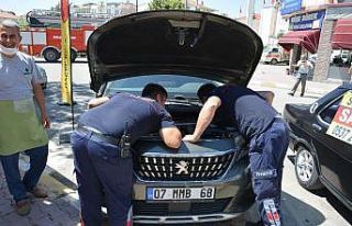 Otomobile saklanan kedi sanayide parçalar sökülerek...