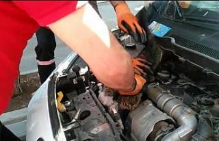 Otomobilin motorunda sıkışan yavru kedi kurtarıldı