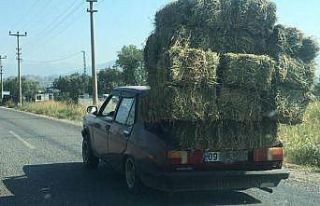 Otomobilinin bagajında saman balyası taşıdı