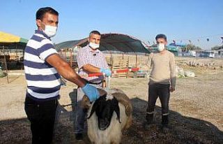 (Özel) Bu aparat gerçek pazarlığı aratmıyor