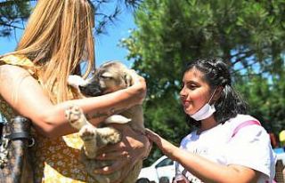 Özel çocuklardan hayvan dostlarına ziyaret