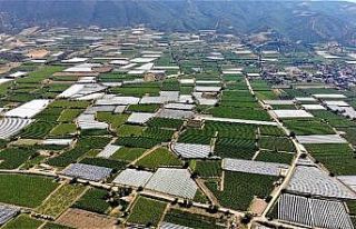 (Özel) Sarıgöl Ovası beyaz örtüyle kaplanıyor