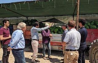 Paketleme ve ambalaj tesisinde 20 kadına iş imkânı...