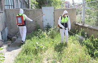 Palandöken Belediyesi’nden çevre seferberliği