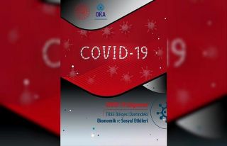 Pandeminin ’TR83 Bölgesi’ndeki etkileri