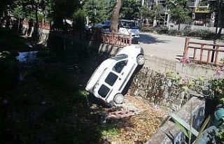 Park halindeki araç dereye uçtu