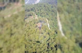 Payas’ta orman yangını